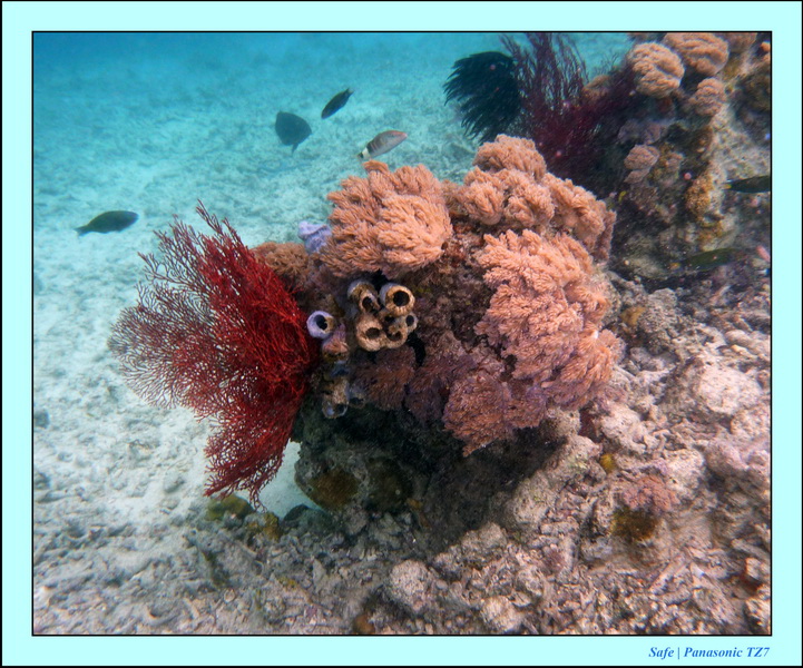 2009   07   Matakin 15